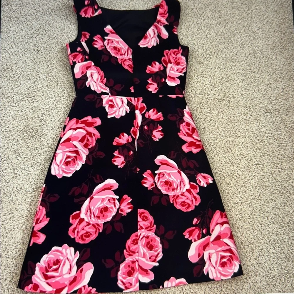 NWT Kate Spade “Rosa” A-Line Dress, 0